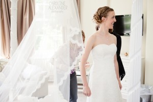 bride and veil