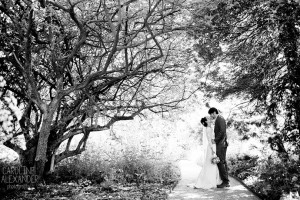 Barnsley House Wedding Photographs gardens