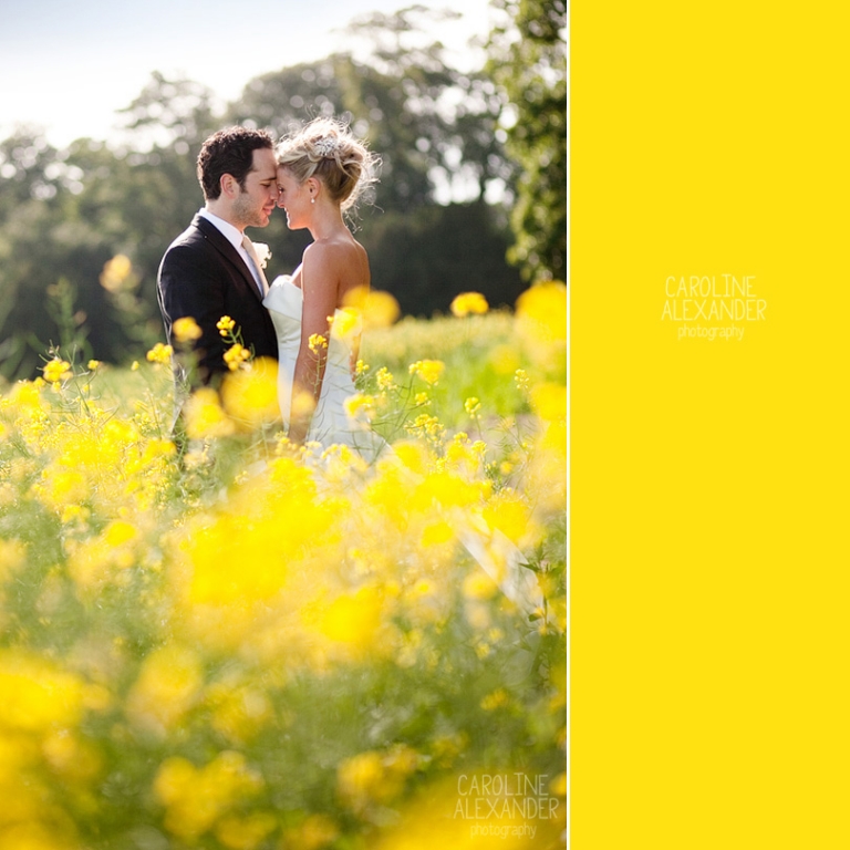 Aynhoe Park rape seed