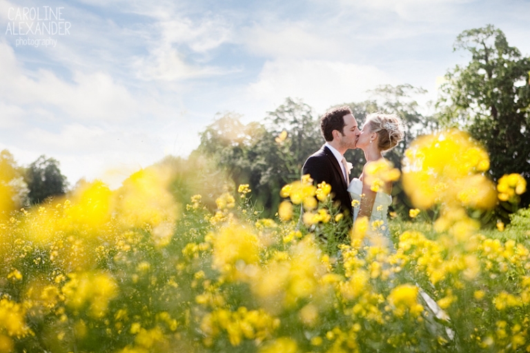 Aynhoe Park rape seed