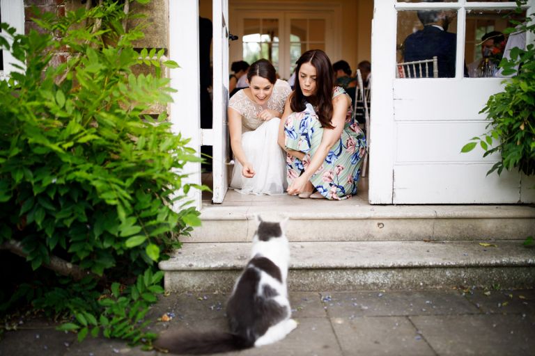 bride tries to lure cat over to her with a wedding guest at her wedding, the cat hangs out at the orangery at goldney hall